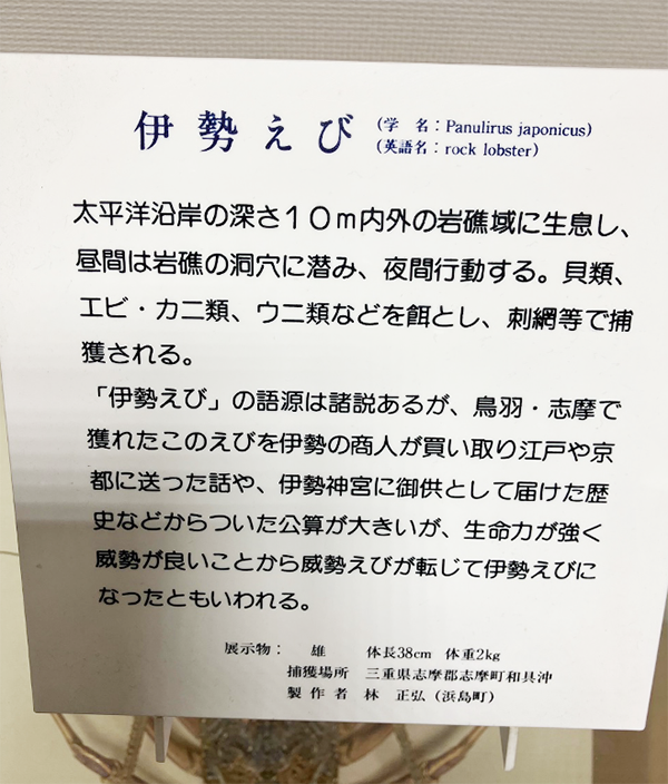 伊勢海老の名前の由来